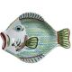 Large hollow portofino fish dish
