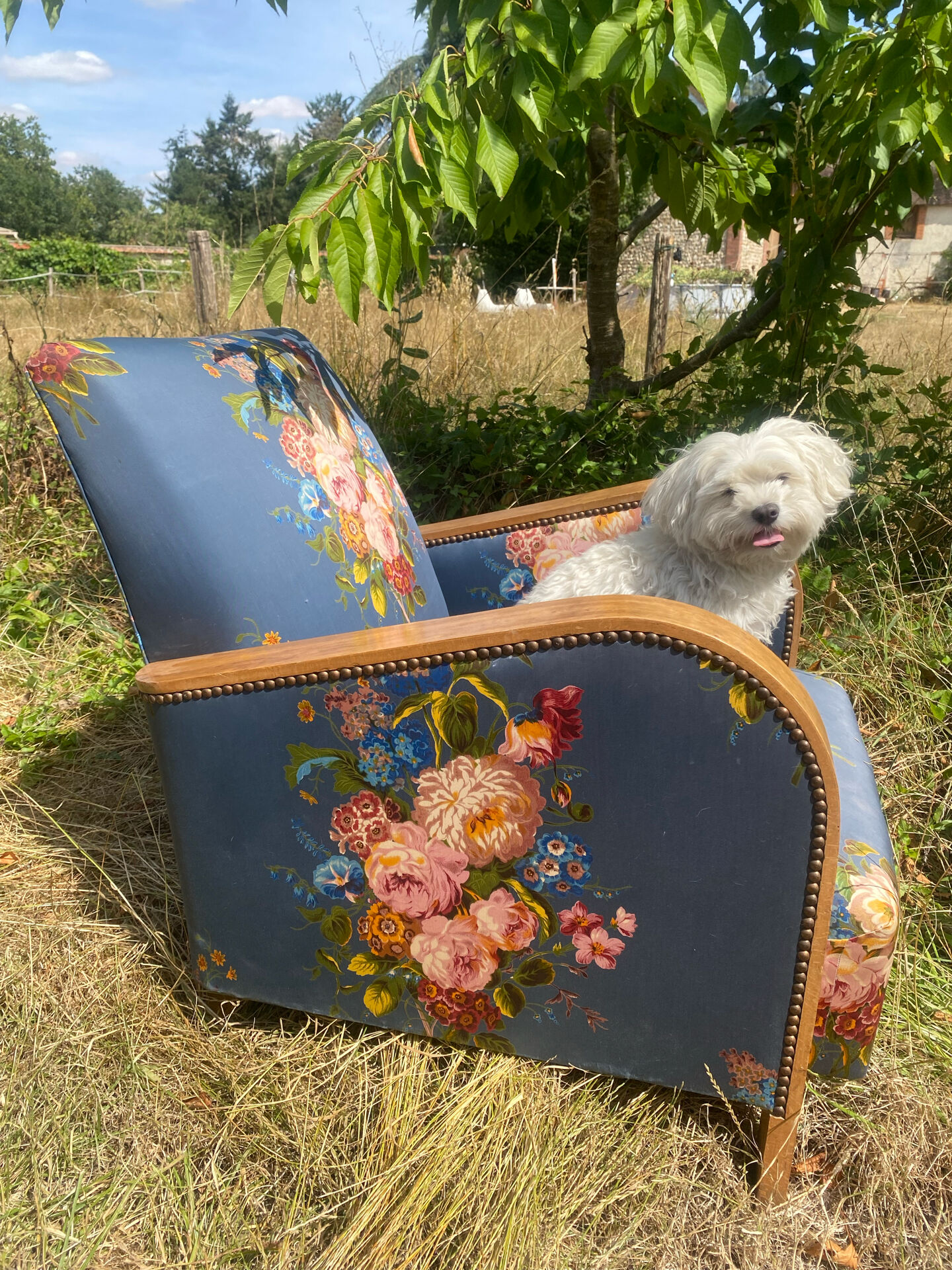 Art Deco armchair and its footrest
