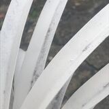 Palm lamppost by Sergio Terzani