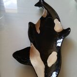 Empty orca pocket