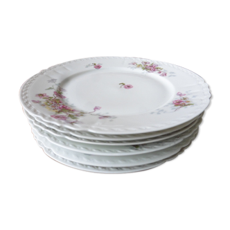 6 flat porcelain plates signed Limoges SS France decoration anemones and daisies