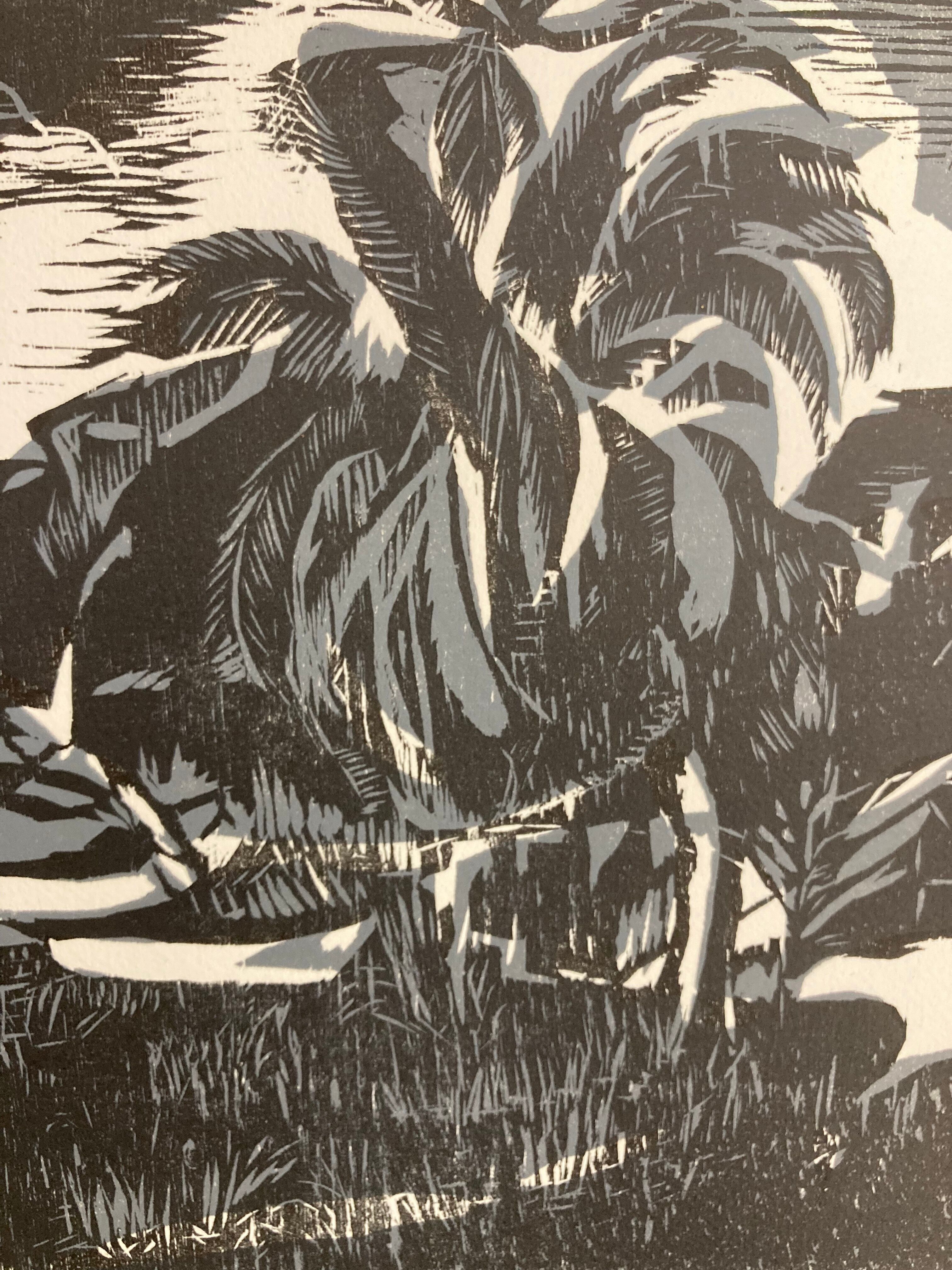 Illustration Le Bois des Cocotiers