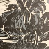 Illustration Le Bois des Cocotiers