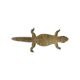 Big Stuffed Spiny-Tailed Dragon Lizard Taxidermy Africa Middle East Agamidae
