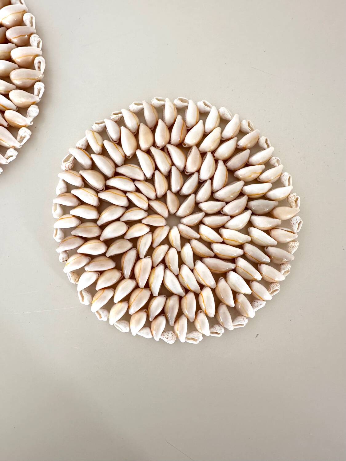 Pair of shell trivets