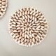 Pair of shell trivets