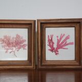 True alguier in walnut frame France 1960