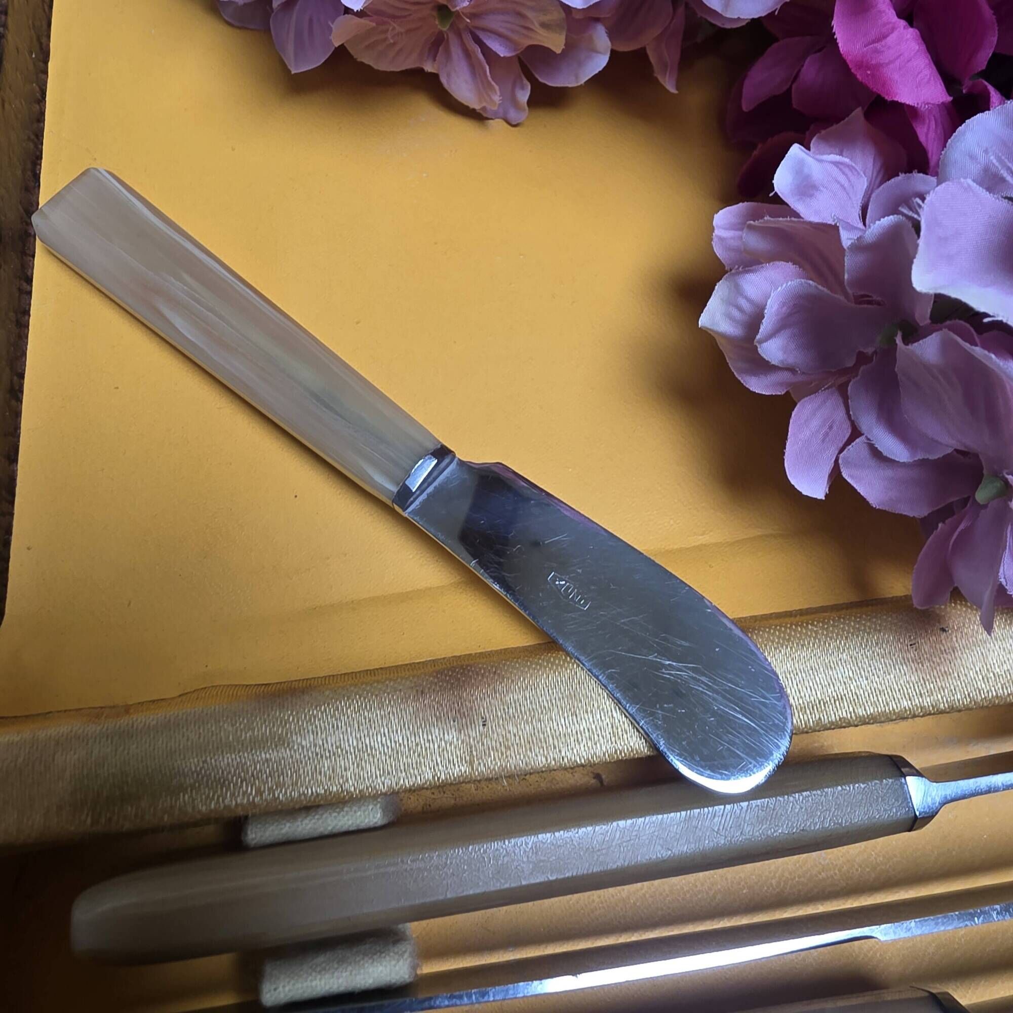 12 vintage knives in a box + 1 butter knife