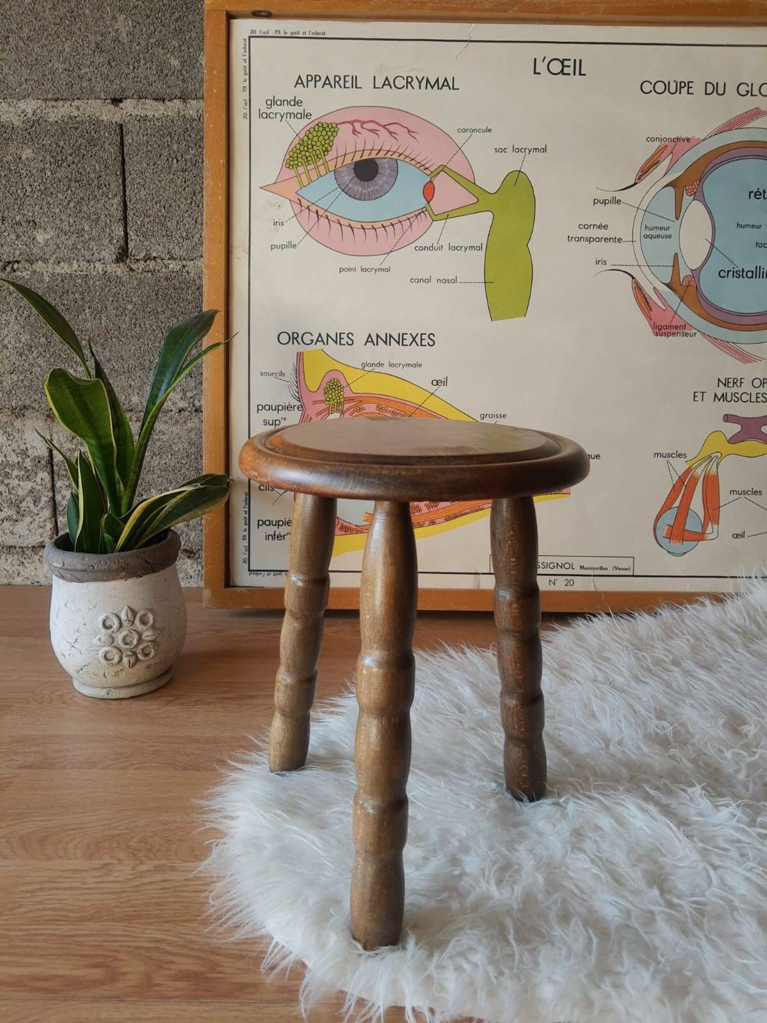 Ancien tabouret de ferme, campagne en bois tripode