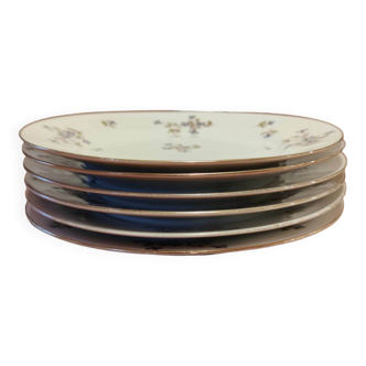 Service of 6 Limoge porcelain floral blueberry pattern plates