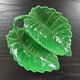 Green leaf emptier