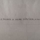 Framed ancient lithography by Martinet and Son