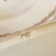 Soup plates, Germaine pattern, Badonviller