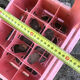 Evian bottle holder in pink plastic