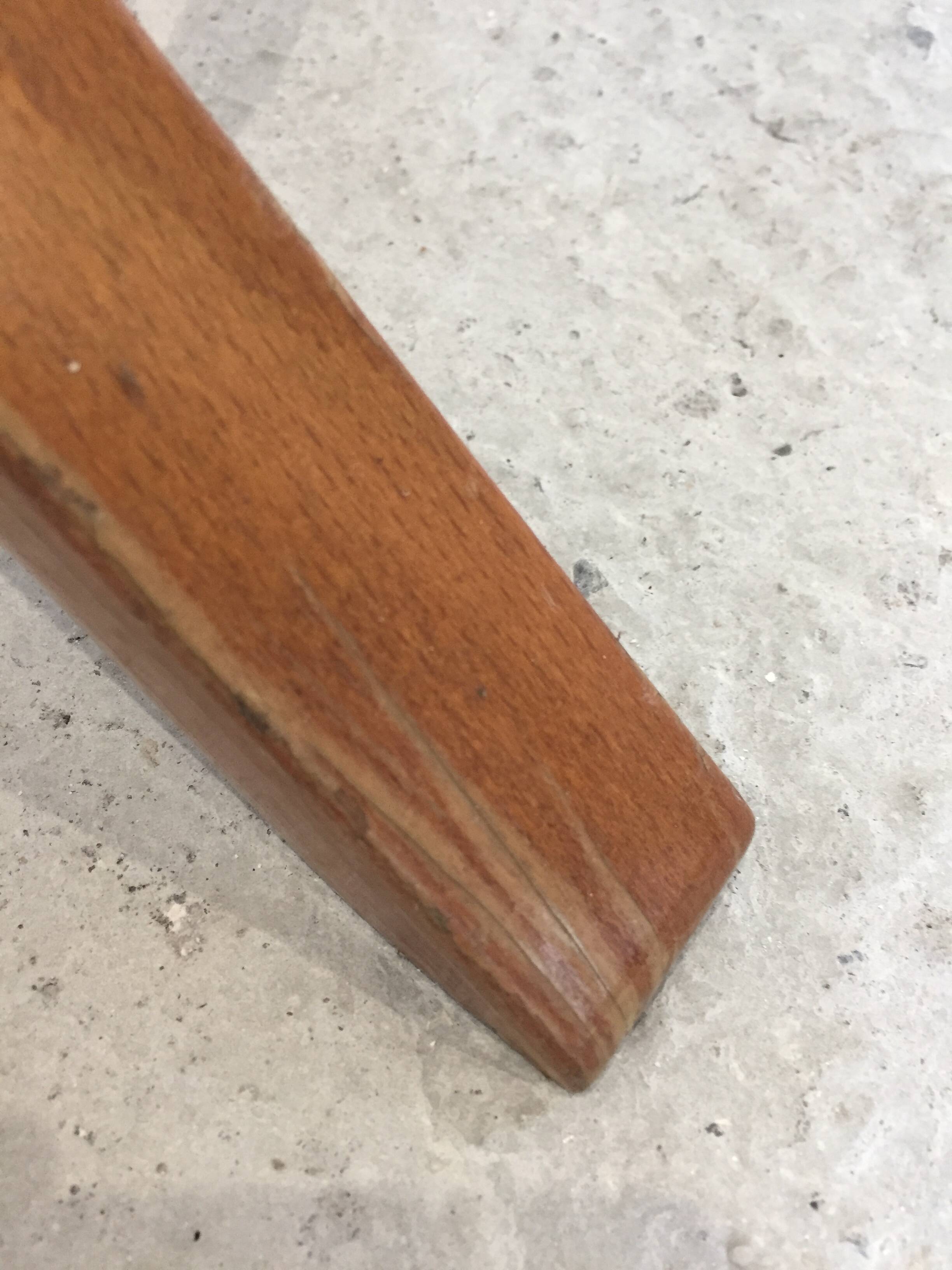 Baumann parrot coat rack