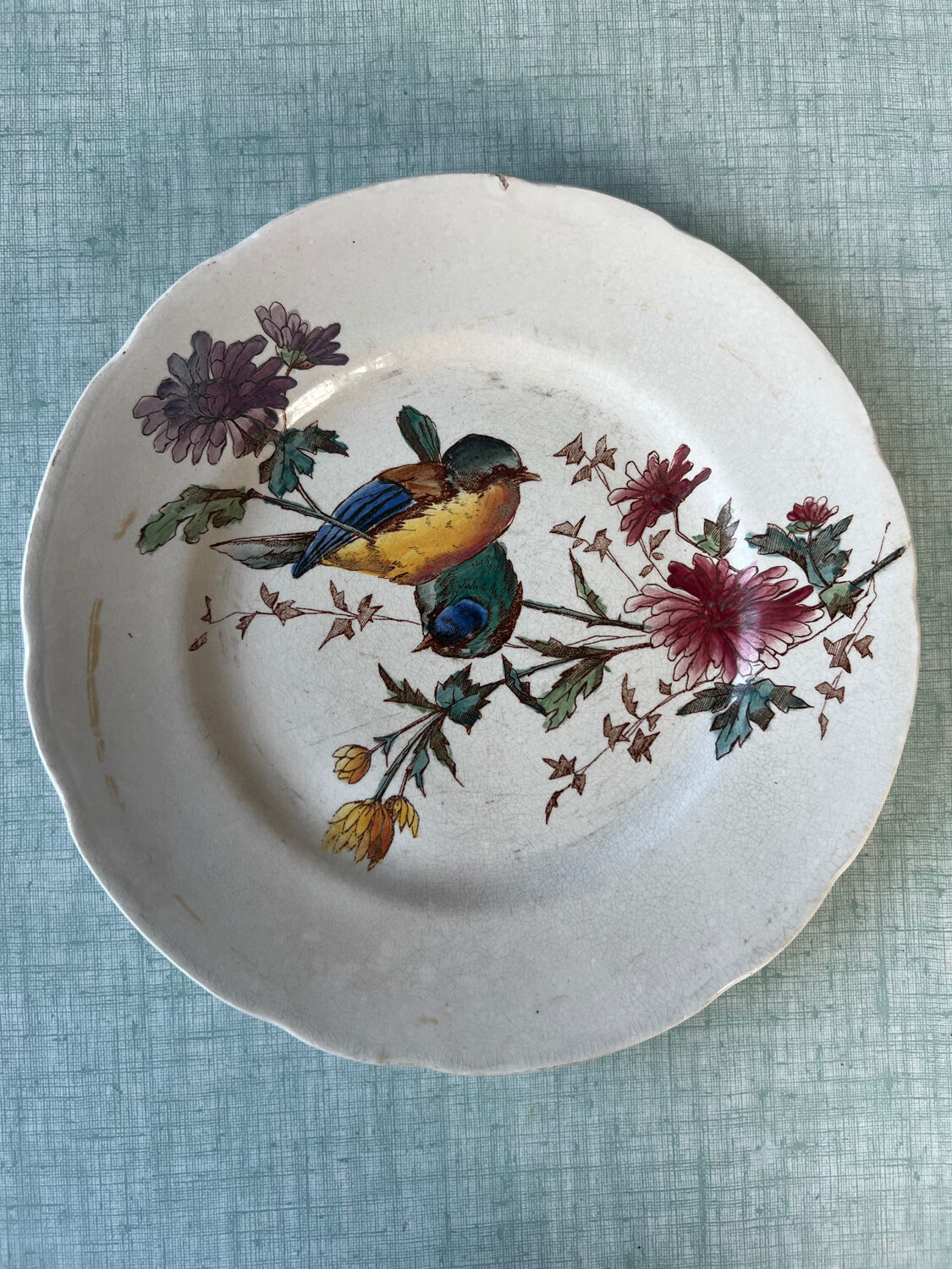 6 polychrome flat plates HB&Cie Choisy Le Roi
