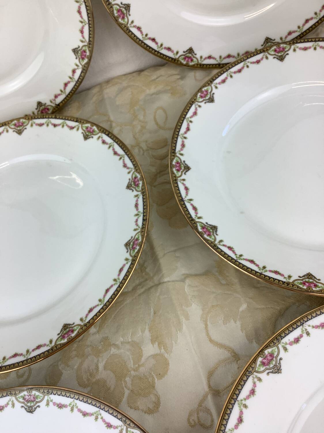 6 Limoges porcelain dinner plates