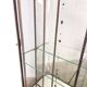 Large Antique Museum Display Cabinet with Curved Glass