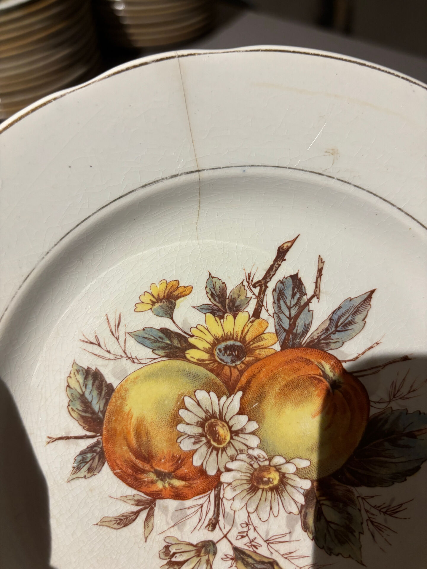 Set of 5 antique earthenware plates – vintage fruit & flower design
