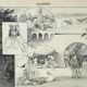 Old engraving 1898, Algeria, fauna and flora, Arabic • Lithograph, Original plate