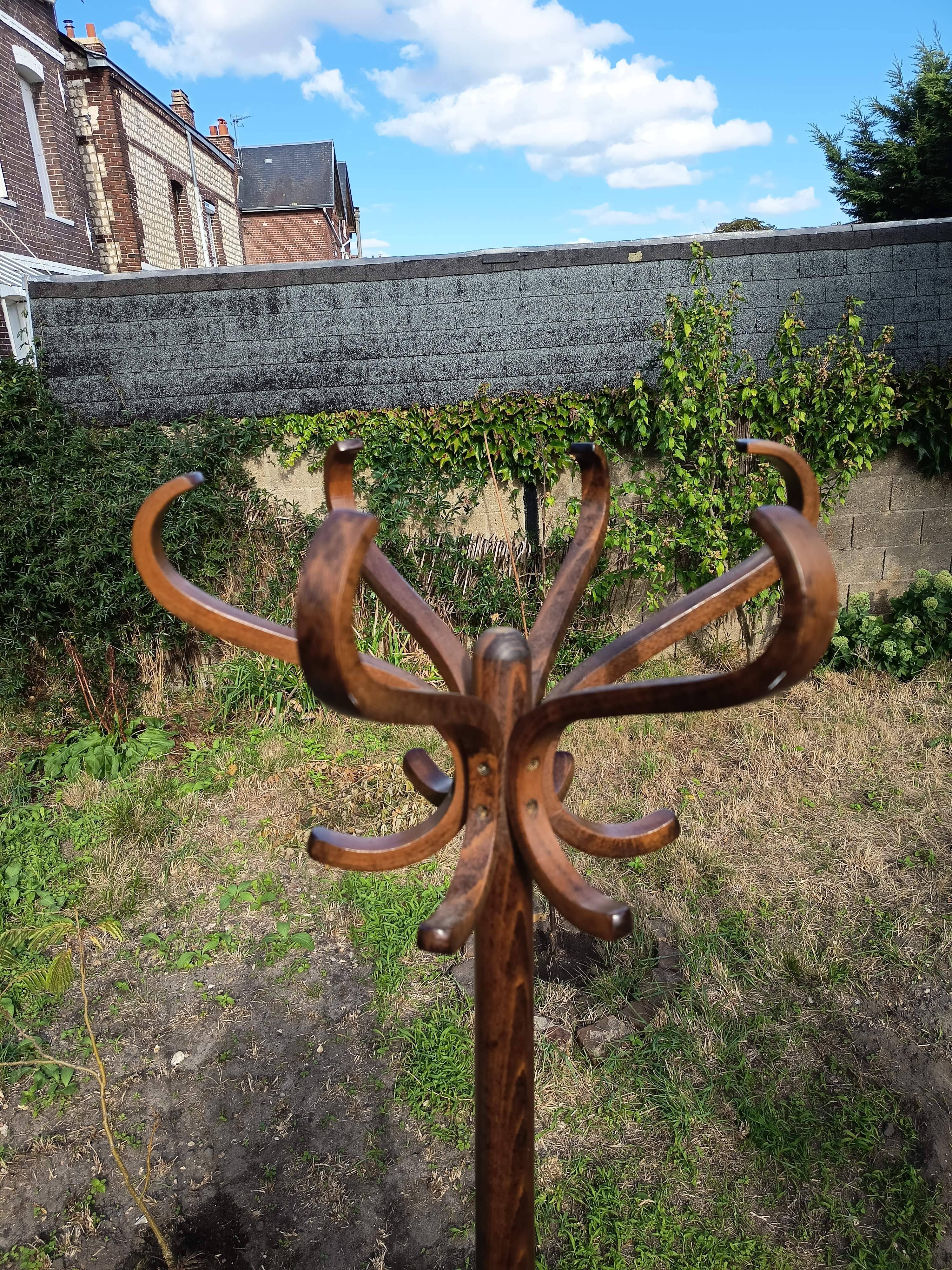 Parrot coat rack Baumann