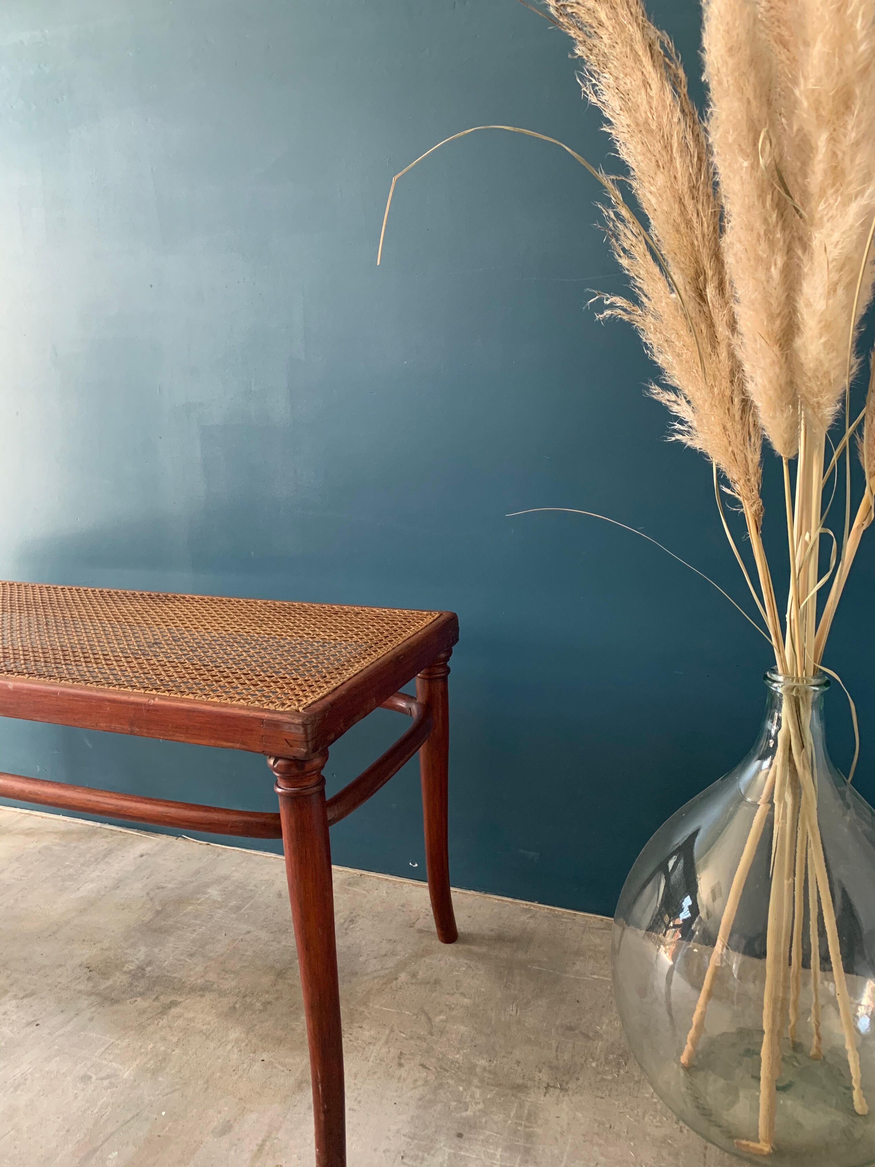 Thonet bench with canning
