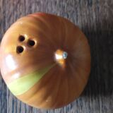 Salt and pepper shaker set in a set