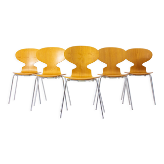 Special set of 5 Ant chairs by Fritz Hansen