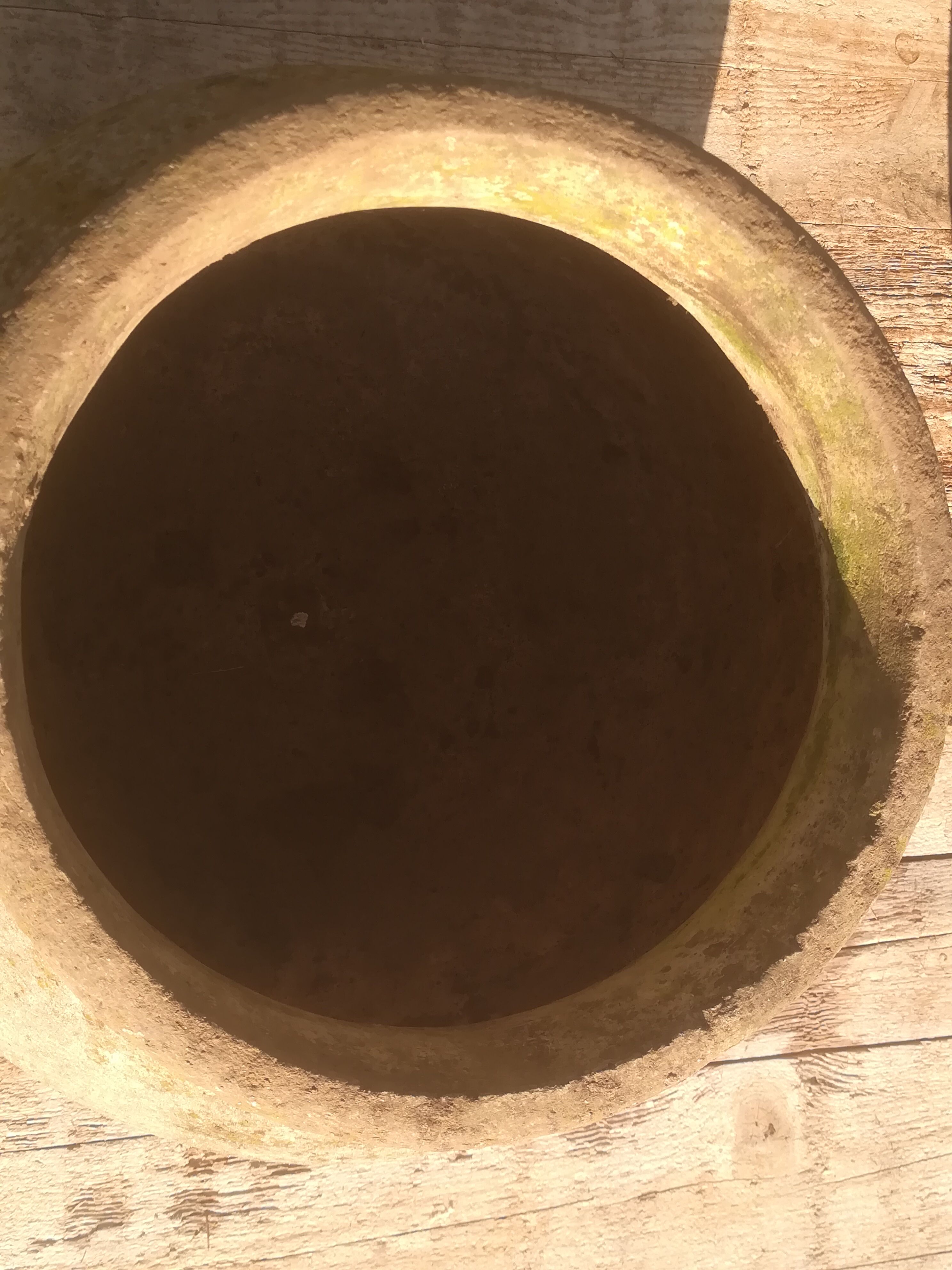 Concrete planters  1960