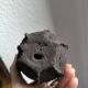 Duo sculpture art design egg planet ceramic black stoneware chamotte signé