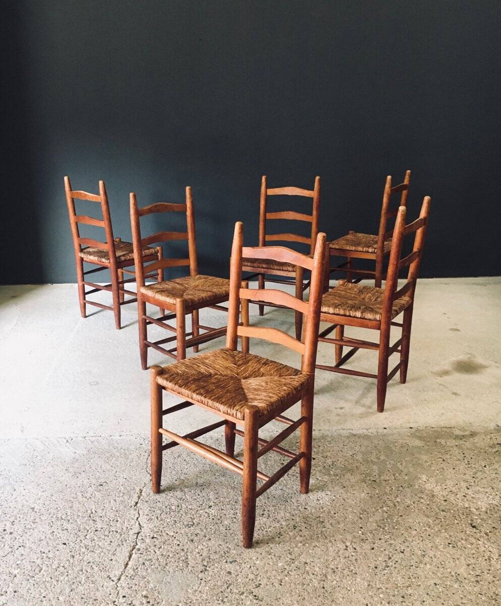 Low rustic ladder back dining chairs in oak and rush, Belgium, 1950s, set of 6.