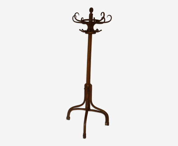 Perroquet porte manteau en bois courbé