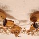 Set Hollywood Regency Wandlampe vergoldet Messing Swarovski-Kristalle Palwa