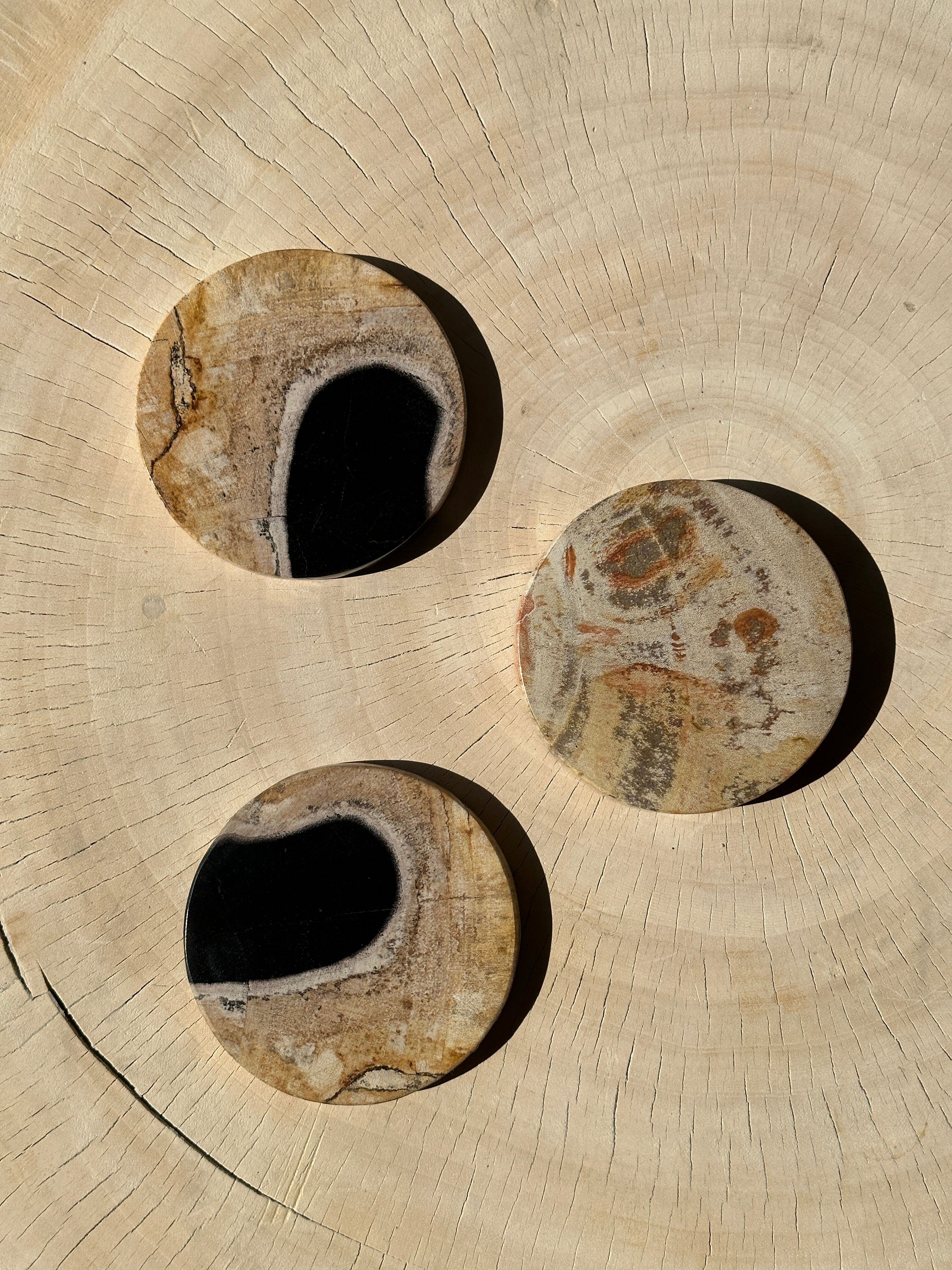 Set of 3 fossilized wooden coasters (clear)