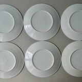 6 large ironstone plates, Badonviller France, D 24 cm