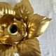 Golden flower wall lamp