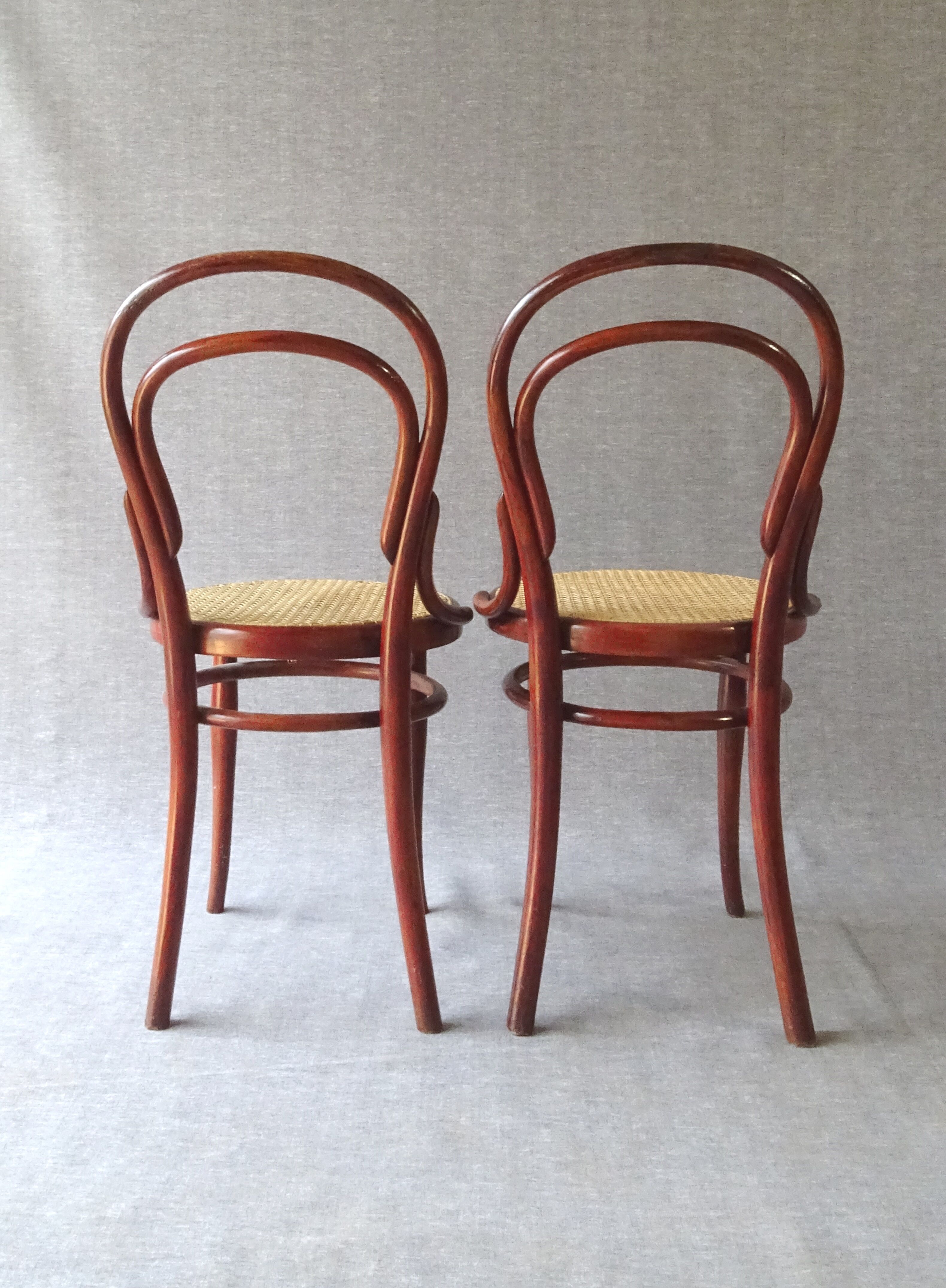 Lot de 5 chaise Thonet bistrot N°14 1/2 cannées