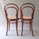Lot de 5 chaise Thonet bistrot N°14 1/2 cannées