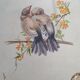 Bird watercolor