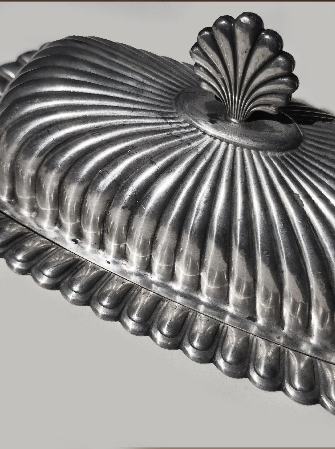 Beurrier coquillage