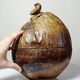 Large box/ice bucket curiosity Naturalised African Coconut vintage