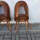 Lot de 3 chaises Lollipop par Antonin Suman, mid century 50s, Tchécoslovaquie