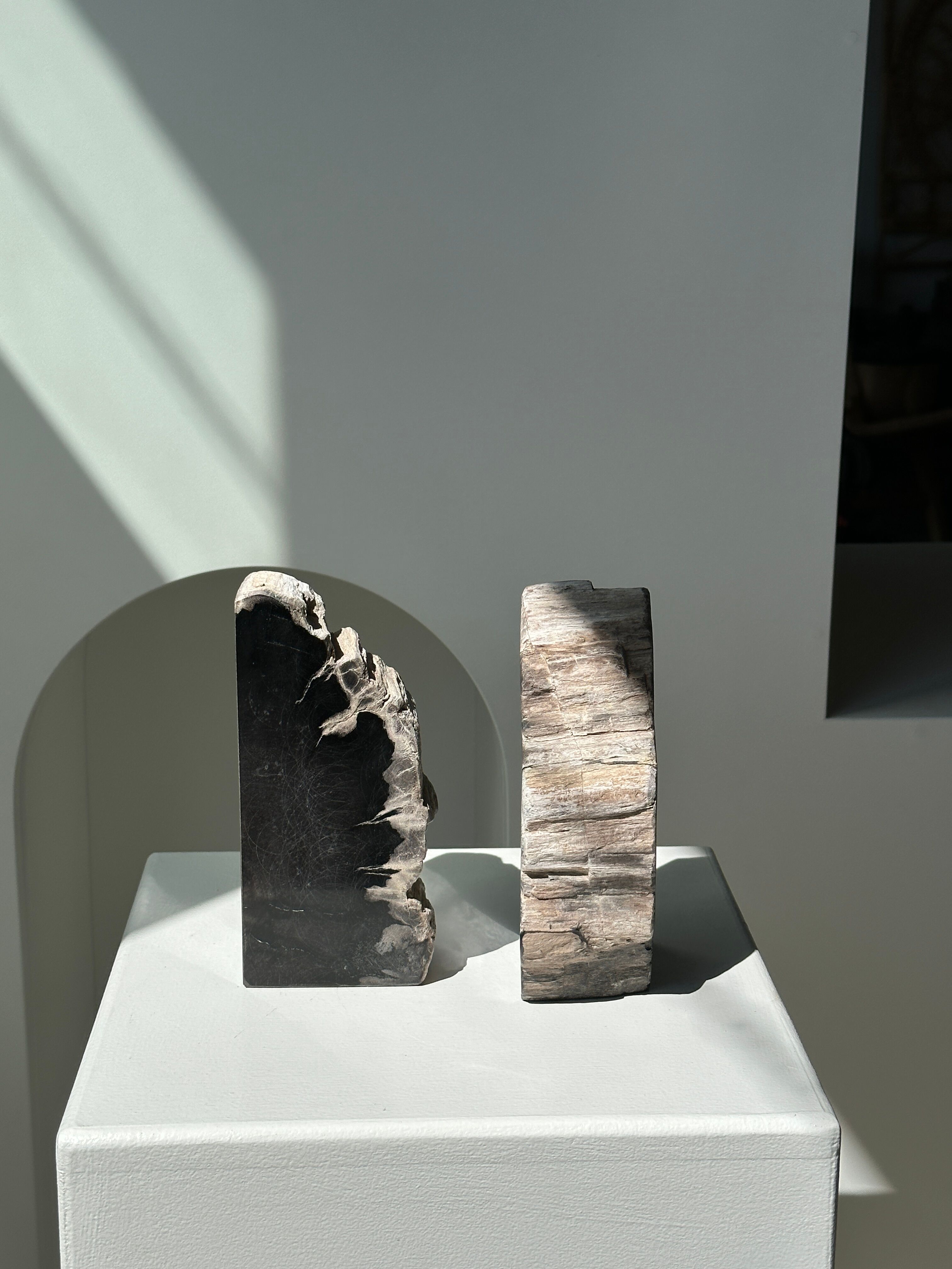 Black petrified wood bookend H17 L17 P6