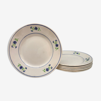 6 assiettes plates vintage niderviller modèle « bleuet »