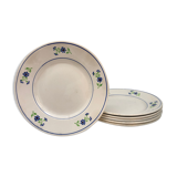 6 plates vintage niderviller model "blueberry"
