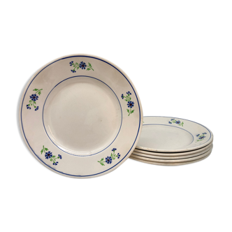 6 plates vintage niderviller model "blueberry"