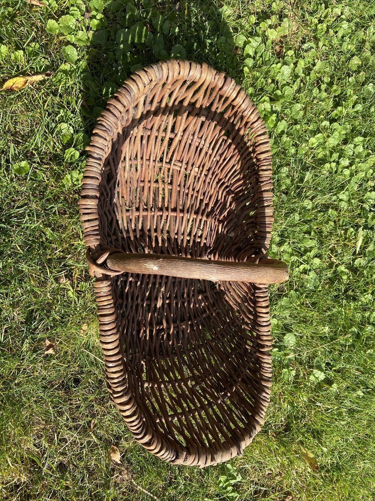 Basket with wicker handle picking vegetable garden mushrooms