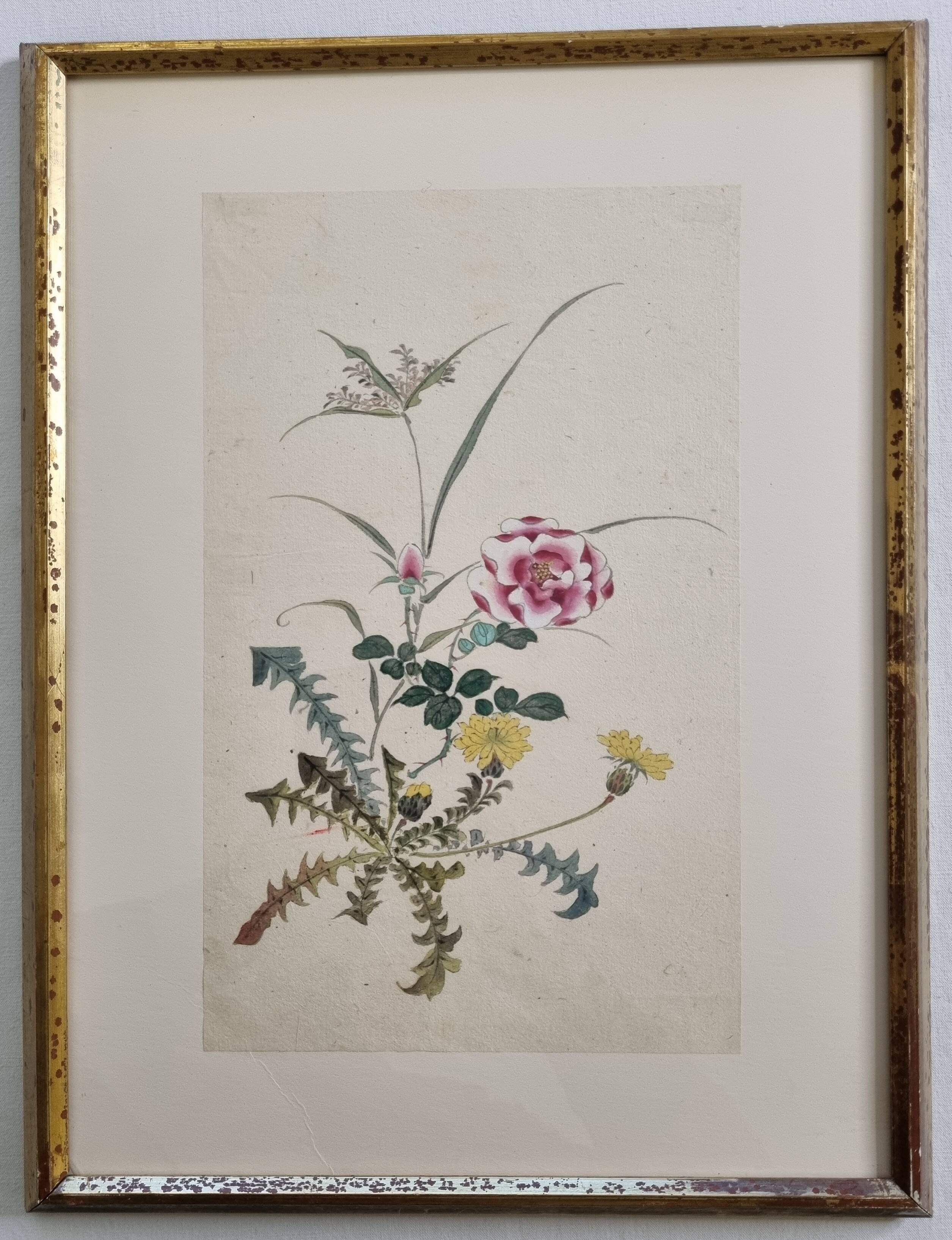 Aquarelle japonaise ancienne Composition florale, ère Meiji, 33 x 43 cm