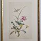 Aquarelle japonaise ancienne Composition florale, ère Meiji, 33 x 43 cm