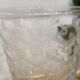 Set de 2 verres à vin en verre gravé